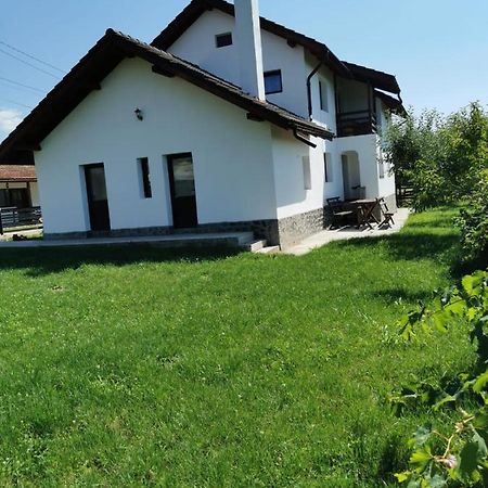 Pensiunea Alina Baia de Fier Luaran gambar