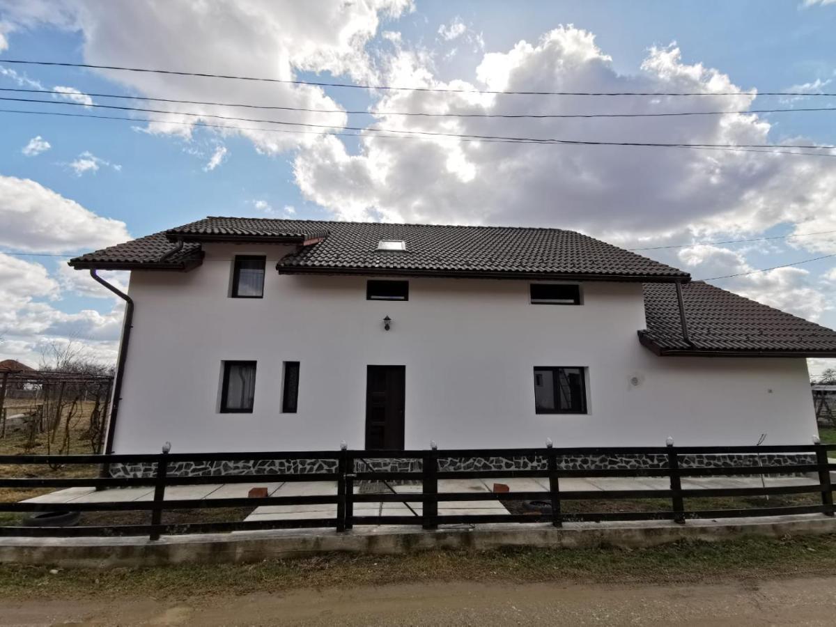 Pensiunea Alina Baia de Fier Luaran gambar