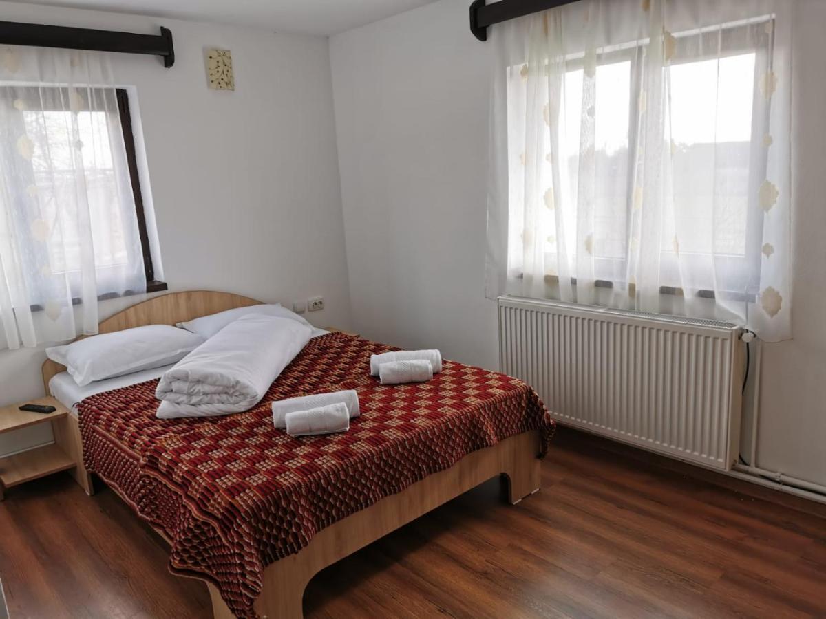 Pensiunea Alina Baia de Fier Luaran gambar