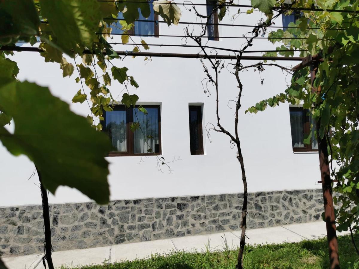 Pensiunea Alina Baia de Fier Luaran gambar