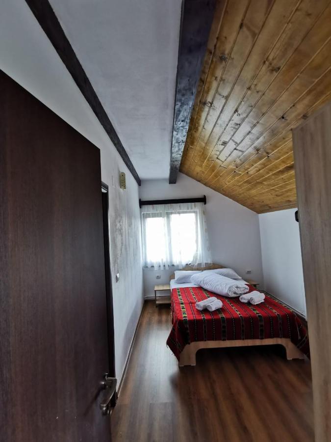 Pensiunea Alina Baia de Fier Luaran gambar