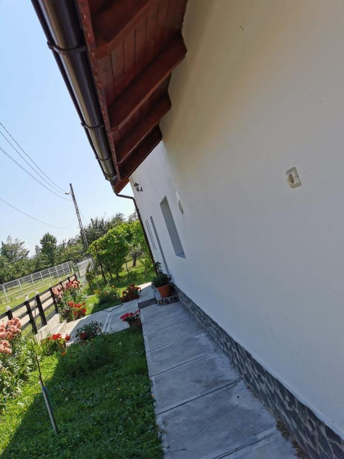 Pensiunea Alina Baia de Fier Luaran gambar
