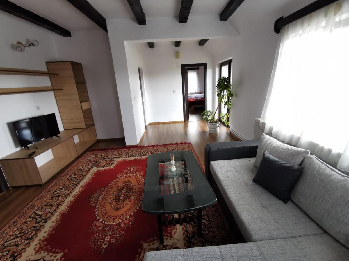Pensiunea Alina Baia de Fier Luaran gambar