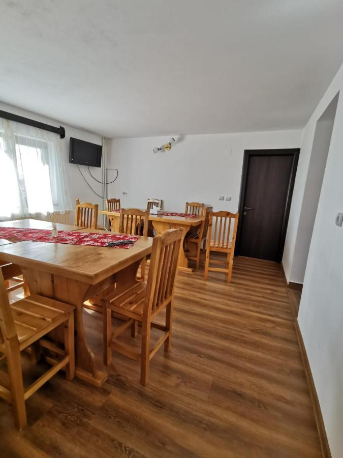 Pensiunea Alina Baia de Fier Luaran gambar