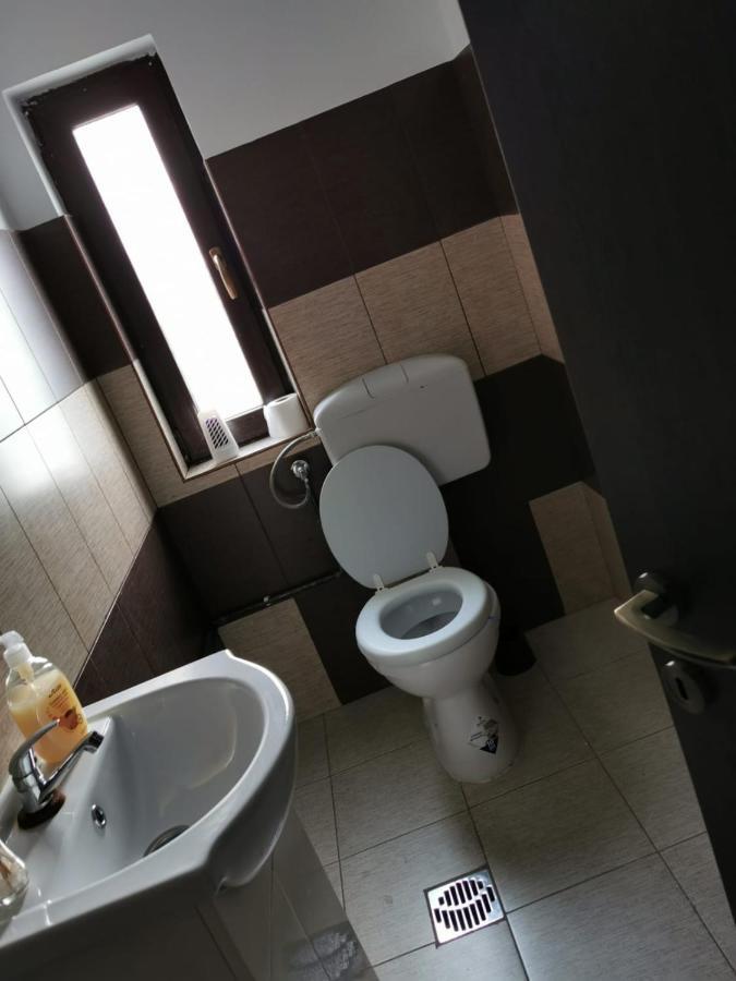 Pensiunea Alina Baia de Fier Luaran gambar