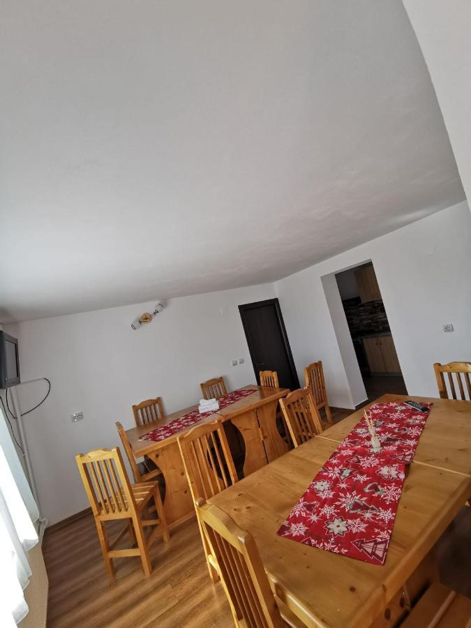 Pensiunea Alina Baia de Fier Luaran gambar