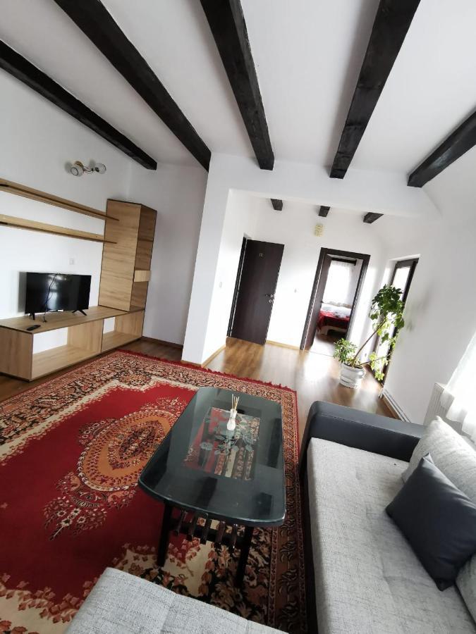 Pensiunea Alina Baia de Fier Luaran gambar