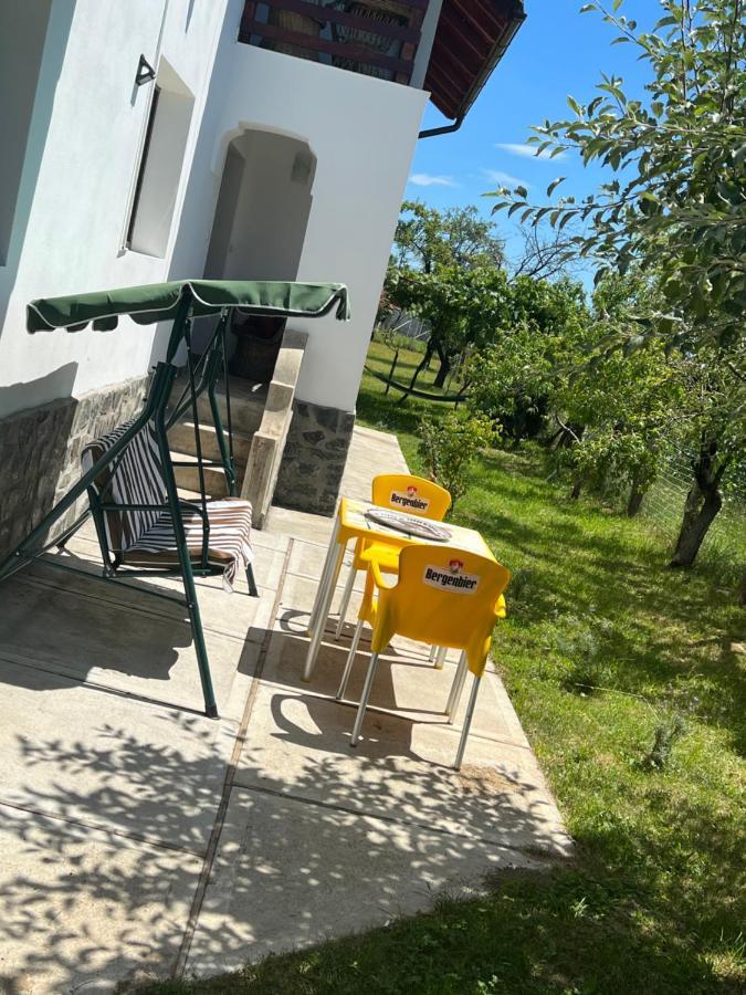 Pensiunea Alina Baia de Fier Luaran gambar