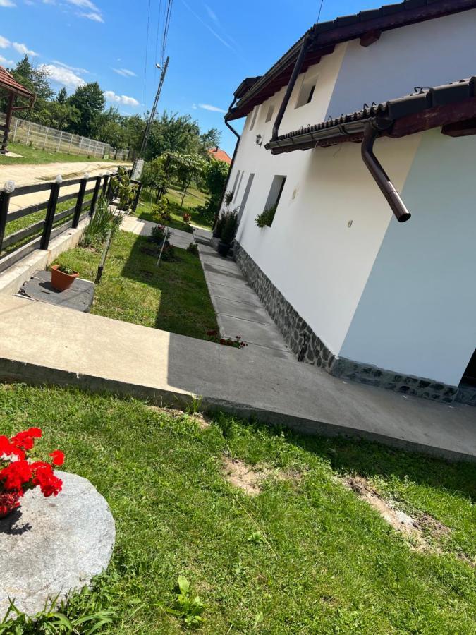 Pensiunea Alina Baia de Fier Luaran gambar